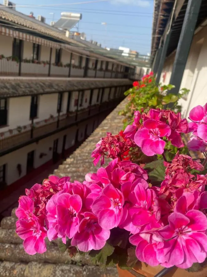 Apartament Alameda Center Apartment Seville