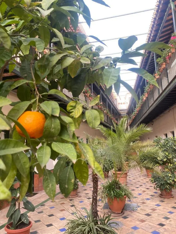 Apartament Alameda Center Apartment Seville Spain
